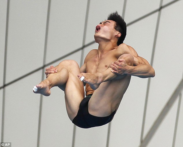 diving face funny swimming dive -