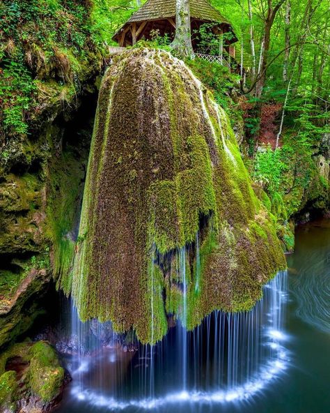 Waterfall in moss