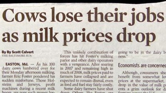 newspaper headlines - Cows lose their jobs as milk prices drop By By Scott Calvert This unly combination of going to be in the dairy b The Baltimore Sun forces has hit Foster's millingness parlor and other dairy operators Easton, Md. As his 100 with a ven