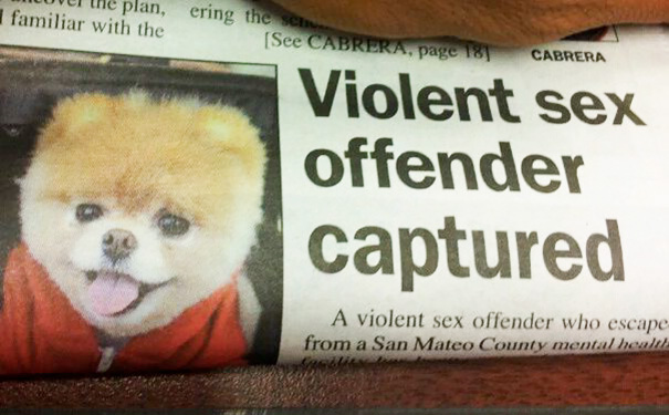 funny newspaper fails - Muve the plan, familiar with the ering the See Cabre Ra, page 18 Cabrera Violent sex offender captured A violent sex offender who escape from a San Mateo County mental health