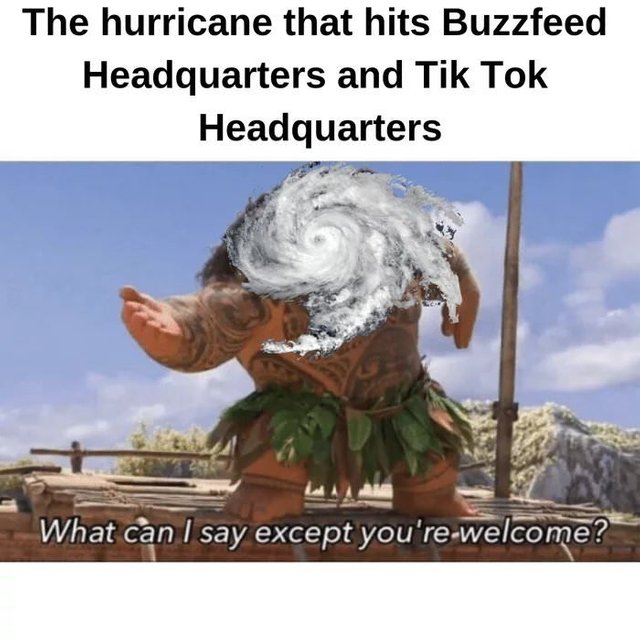meme - can i say except you re welcome - The hurricane that hits Buzzfeed Headquarters and Tik Tok Headquarters What can I say except you're welcome?