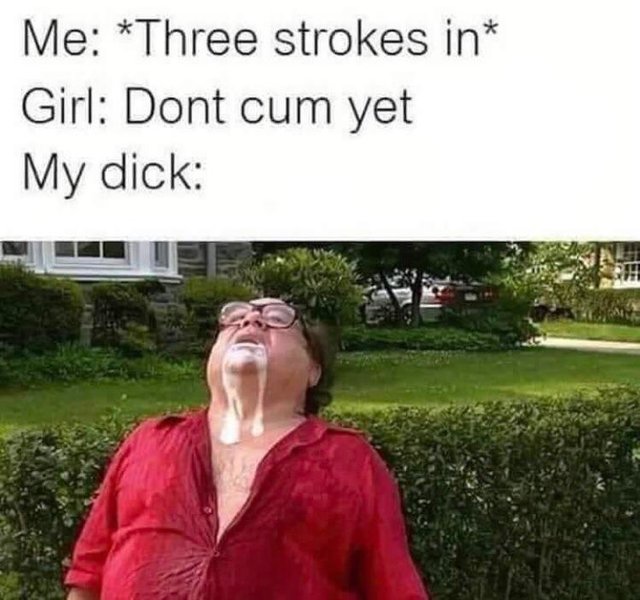 meme - it's always sunny in philadelphia - Me Three strokes in Girl Dont cum yet My dick