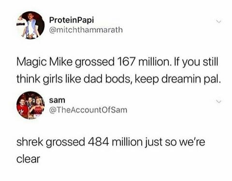 meme - magic mike shrek meme - Protein Papi Magic Mike grossed 167 million. If you still think girls dad bods, keep dreamin pal. sam shrek grossed 484 million just so we're clear