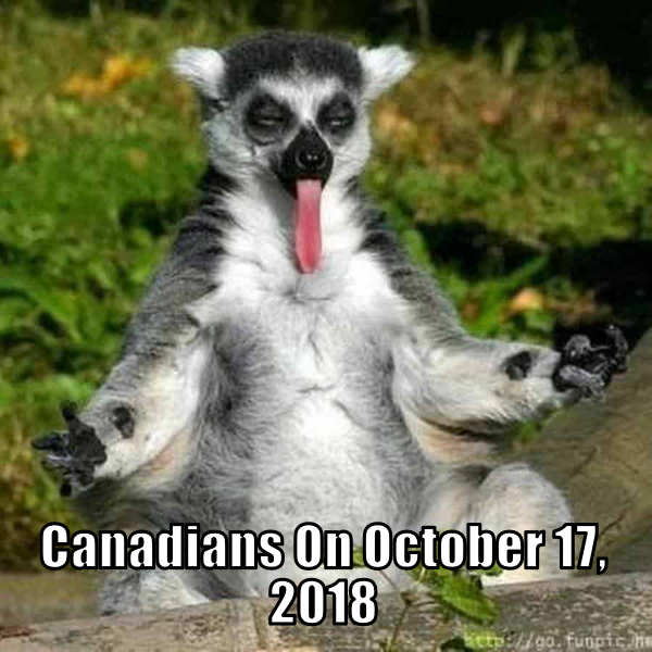 funny animal - Canadians Om pic.