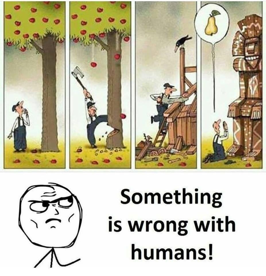 something is wrong with humans - Something is wrong with humans! Something