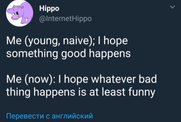 relatable thoughts - Hippo Hippo Me young, naive; I hope something good happens Me now I hope whatever bad thing happens is at least funny |