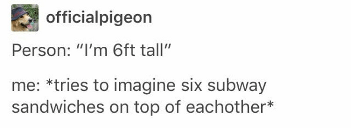 document - officialpigeon Person "I'm 6ft tall" me tries to imagine six subway sandwiches on top of eachother