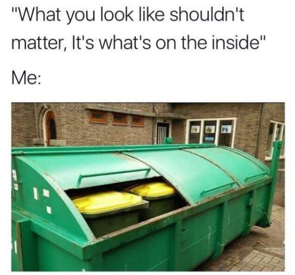 Meme about depression that is a dumpster with trash cans inside that says 'what you look like shouldn't matter, it's whats on the inside'