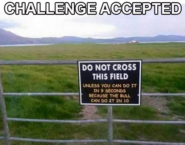 ireland funny - Challenge Accepted Do Not Cross This Field Unless You Can Do It In 9 Seconds Because The Bull Can Do It In 10
