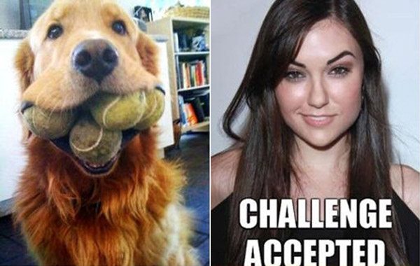happy funny - Challenge Accepted