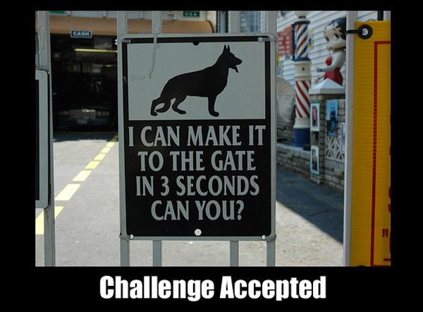challenge accepted moments - Cash I Can Make It To The Gate In 3 Seconds Can You? Challenge Accepted
