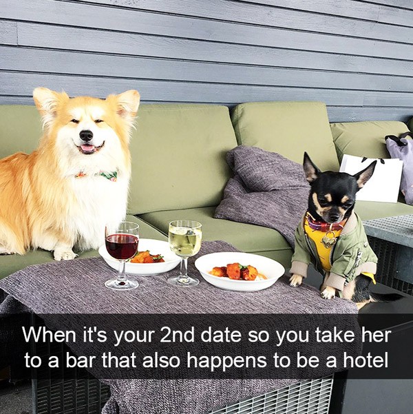 there are dogs with better lives than you - When it's your 2nd date so you take her to a bar that also happens to be a hotel