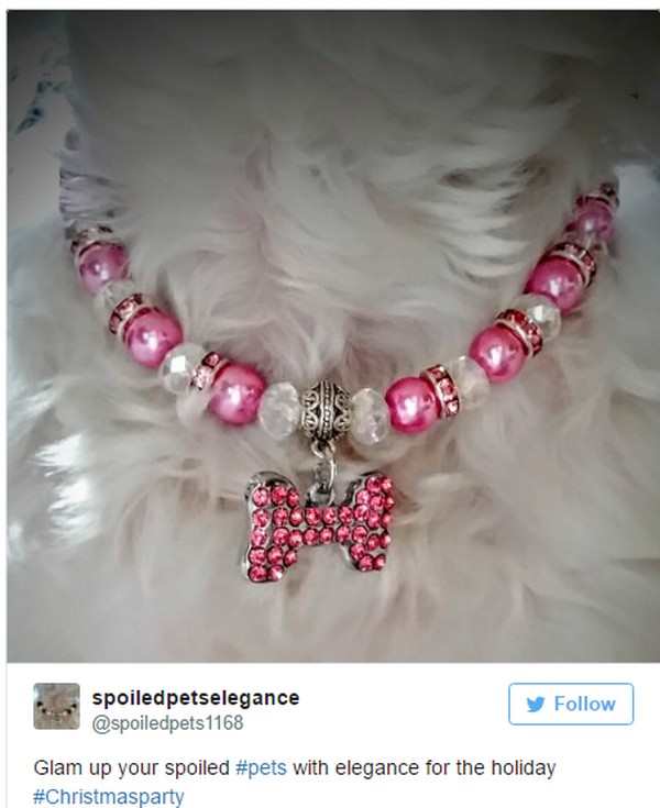necklace - Sos spoiledpetselegance y Glam up your spoiled with elegance for the holiday
