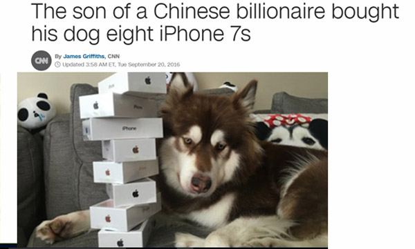 hund iphone - The son of a Chinese billionaire bought his dog eight iPhone 7s w By James Griffiths, Cnn Updated Ett