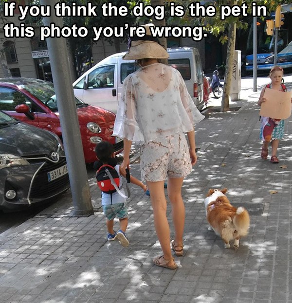 girl walking her dog meme - If you think the dog is the pet in this photo you're wrong