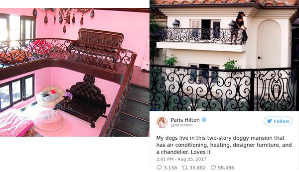 paris hilton dog house - Vox 9 Paris Hilton y Paristo My dogs live in this twostory doggy mansion that has air conditioning, heating, designer furniture, and a chandelier. Loves it 3,156 17 35,882 98,496