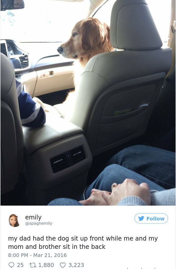 dad and dog memes - emily my dad had the dog sit up front while me and my mom and brother sit in the back 25 27 1,880 3,223