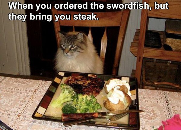 spoiled cat dinner - When you ordered the swordfish, but they bring you steak.