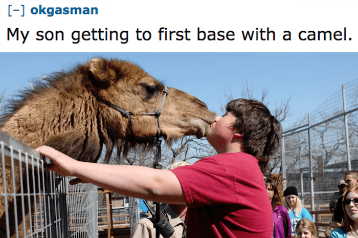 photo caption - okgasman My son getting to first base with a camel.