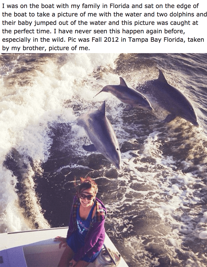 Photograph - I was on the boat with my family in Florida and sat on the edge of the boat to take a picture of me with the water and two dolphins and their baby jumped out of the water and this picture was caught at the perfect time. I have never seen this
