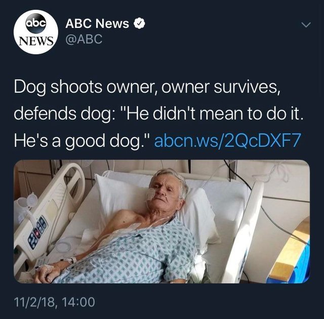 abc news - abc Abc News News Dog shoots owner, owner survives, defends dog "He didn't mean to do it. He's a good dog." abcn.ws2QcDXF7 11218,