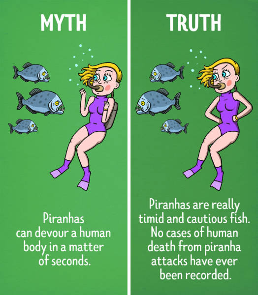 Myth vs Truth about Piranhas and how they never kill humans