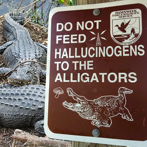signs with stories behind them - Damnweek Fish & Wildlife Service Datino Tee Tuleo Do Not Feed K Hallucinogens To The Alligators