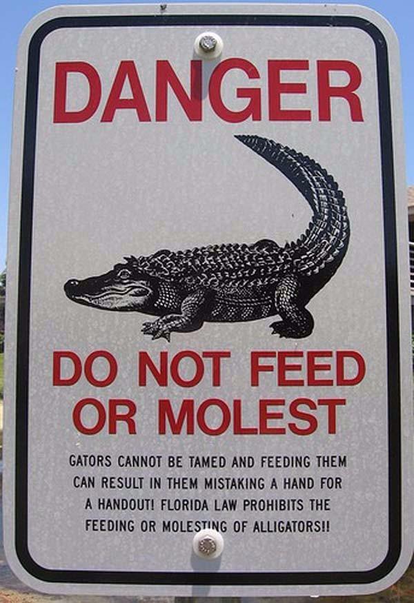 scaffolding tags - Danger Do Not Feed Or Molest Gators Cannot Be Tamed And Feeding Them Can Result In Them Mistaking A Hand For A Handouti Florida Law Prohibits The Feeding Or Molesting Of Alligators!!