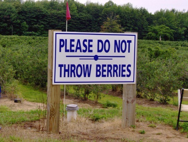 nature reserve - Please Do Not Throw Berries