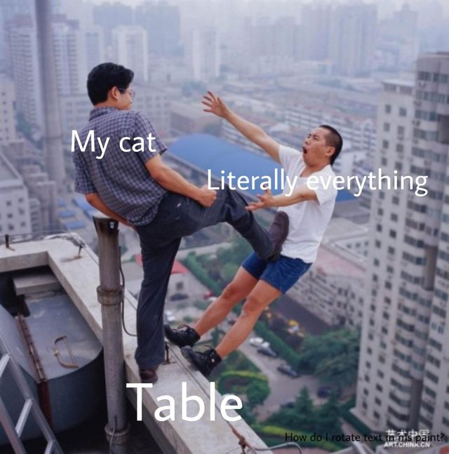 Object labelling meme of a cat knocking things of the table