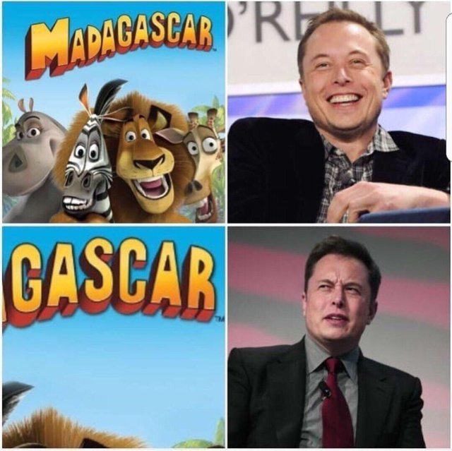 Madagascar GAS CAR Elon Musk drake-posting style meme