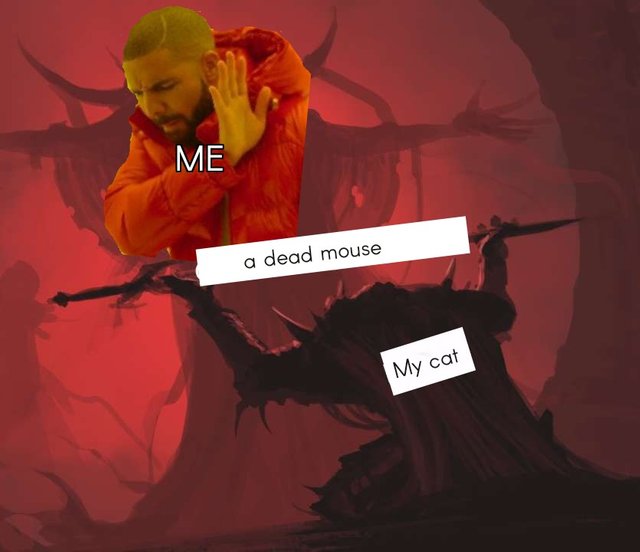 Drake meme about refusing that dead mouse from your cat