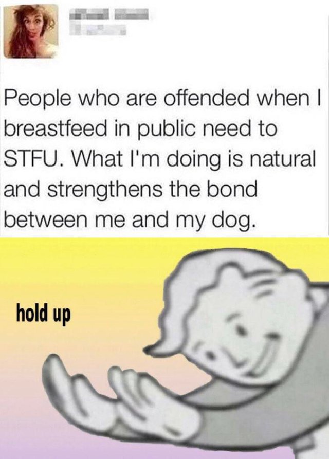 Meme joking about breastfeeding a dog in public