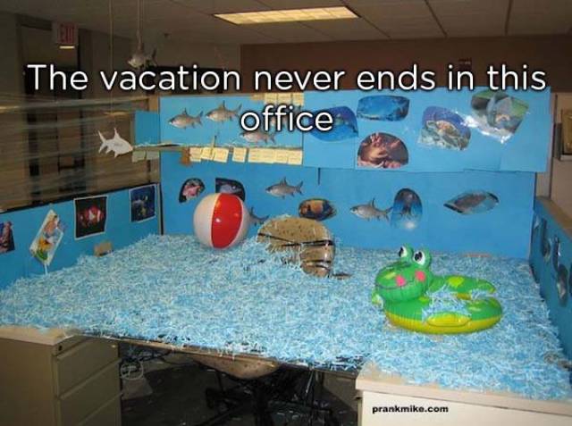 office pranks - The vacation never ends in this ex office prankmike.com