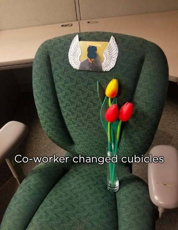 troll co worker - Coworker changed cubicles