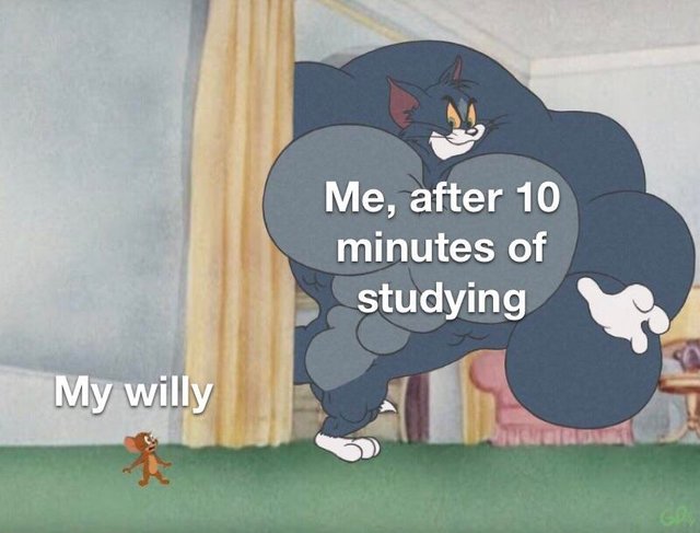 meme stream - tom and jerry mafia city meme - Me, after 10 minutes of studying My willy