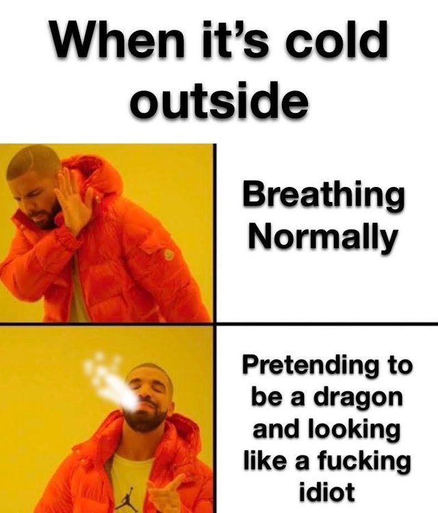 asexual memes - When it's cold outside Breathing Normally Pretending to be a dragon and looking a fucking idiot