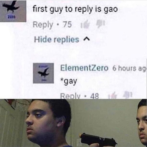 first guy who memes - first guy to is gao 75 Hide replies ~ ElementZero 6 hours ag gay 48