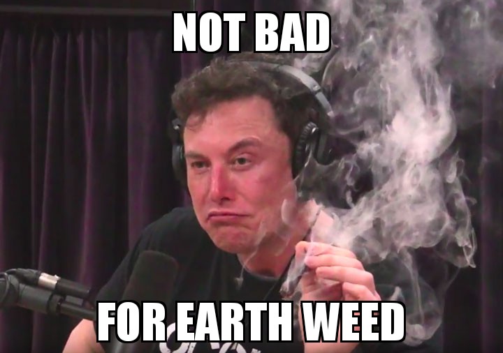 Elon smokes space budz