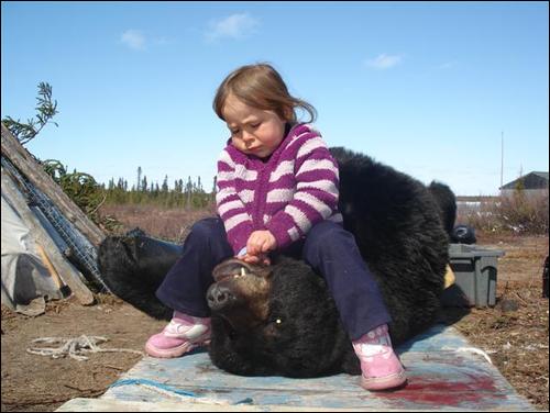 little girl 1, black bear 0