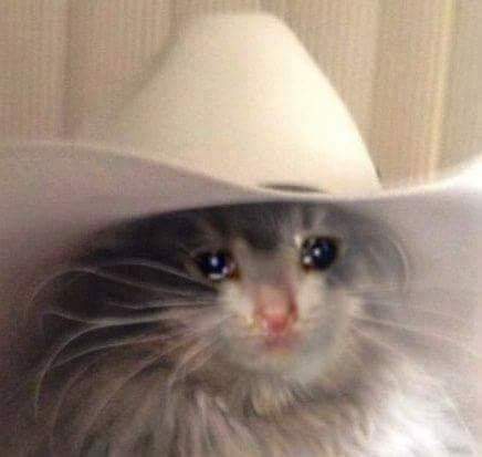 you re just gonna scroll past without saying howdy