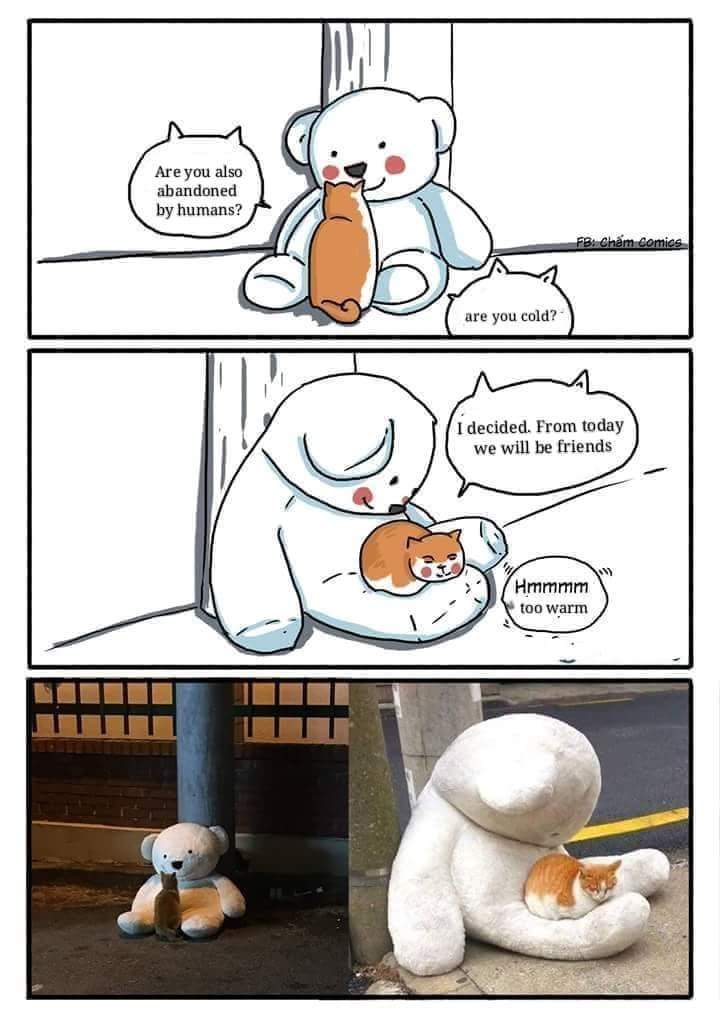 wholesome i love you memes - Are you also abandoned by humans? Fb. Cham Comics are you cold? I decided. From today we will be friends Hmmmm too warm