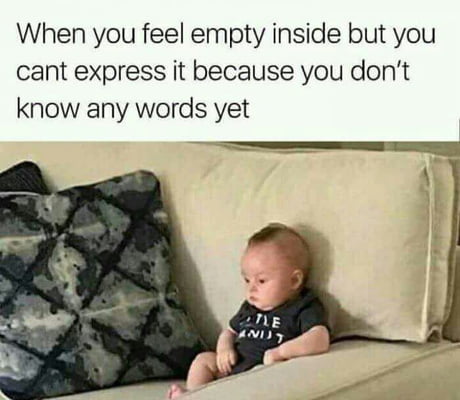 feel empty inside meme - When you feel empty inside but you cant express it because you don't know any words yet Le Anus