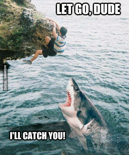 funny shark memes - Letgo, Dude sobanaq 9GAG I'Ll Catch You!