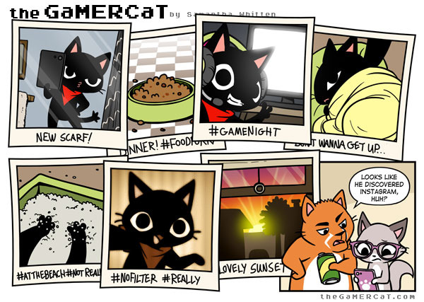 gamercat funny - the GaMERCatby New Scarfi Anner! Don T Wanna Getup Looks He Discovered Instagram Huh? 1. Lovely Sunset Real theGaMERCAT.Com