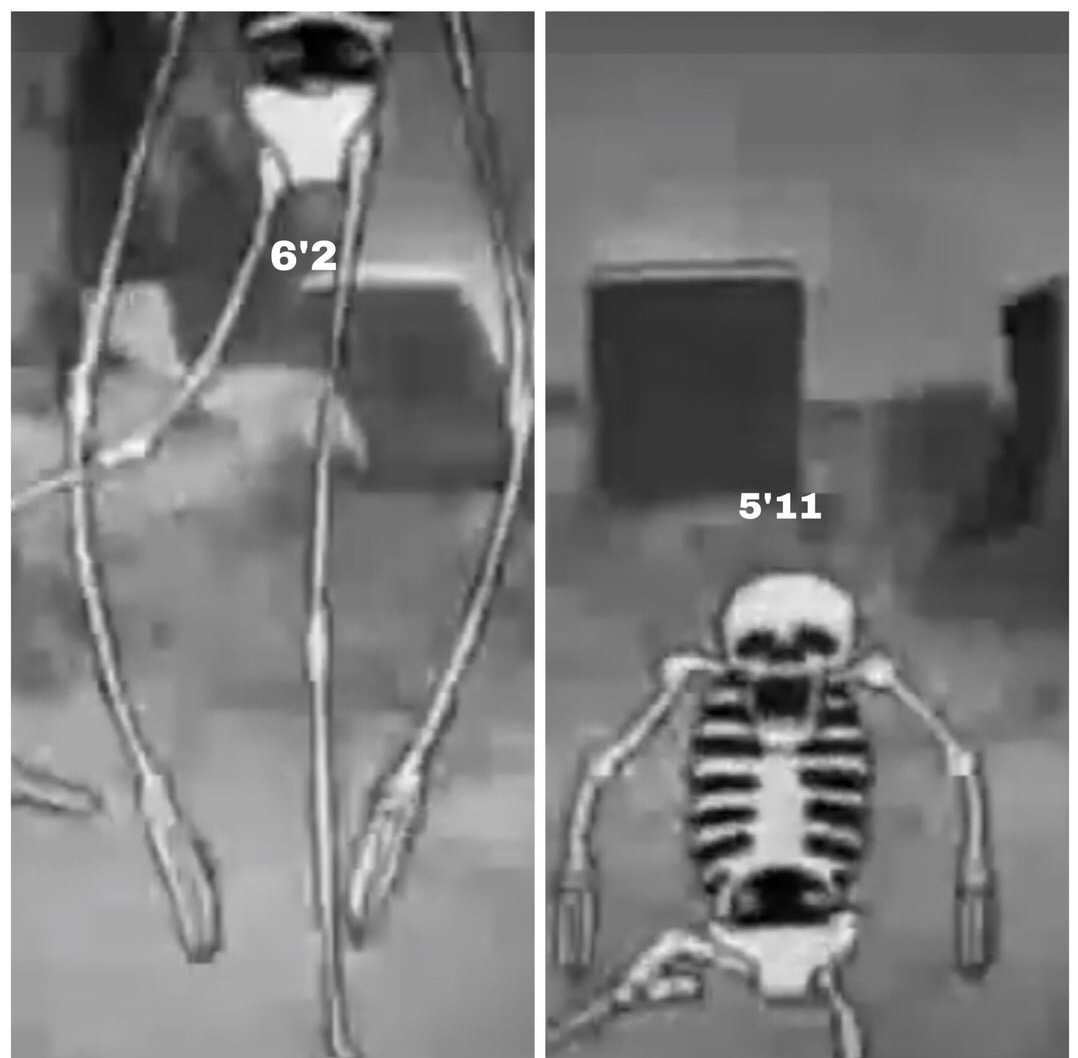 skeleton - 62 511
