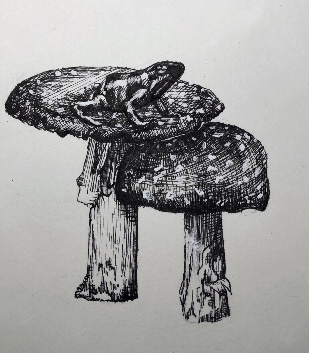 19 Beautiful Inktober Drawings That Are Worth Seeing