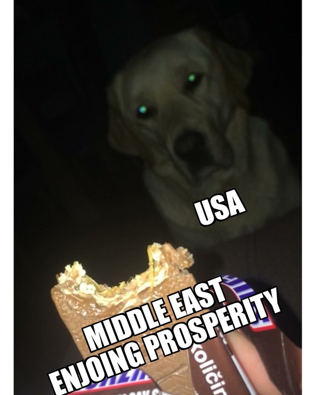 Dog Longing for Chocolate Bar - United States Jealous of Middle East Prosperity 
