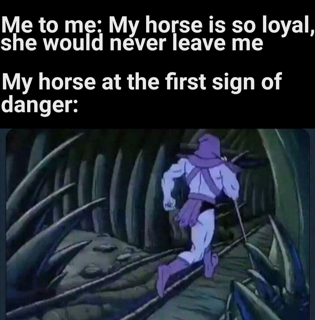 red dead redemption 2 memes - Me to me My horse is so loyal, she would never leave me My horse at the first sign of danger