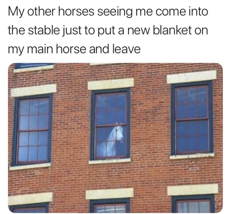 red dead redemption 2 memes - My other horses seeing me come into the stable just to put a new blanket on my main horse and leave